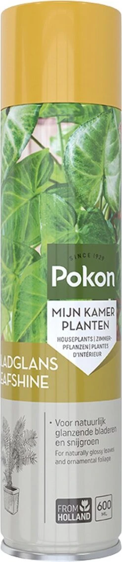 Pokon Bladglans 250ml 19 Pokon Bladglans 250ml -Tuin- En Buitengereedschapswinkels 262x1200