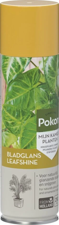 Pokon Bladglans 250ml 15 Pokon Bladglans 250ml -Tuin- En Buitengereedschapswinkels 316x1200