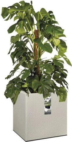 Elho Vivo Structure Finish Vierkant 40 - Plantenbak Voor Binnen & Buiten - Ø 39 X H 41 - Grijs/Warm Grijs -Tuin- En Buitengereedschapswinkels 613x1200 2