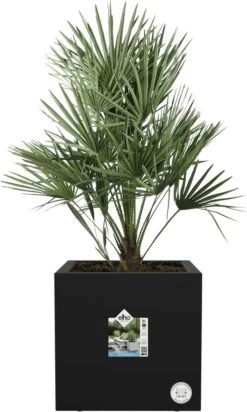 Elho Vivo Next Vierkant 30 - Plantenbak Voor Binnen & Buiten - Ø 29.5 X H 29.5 Cm - Zwart/Living Black -Tuin- En Buitengereedschapswinkels 720x1200