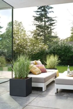 Elho Vivo Next Vierkant 30 - Plantenbak Voor Binnen & Buiten - Ø 29.5 X H 29.5 Cm - Zwart/Living Black -Tuin- En Buitengereedschapswinkels 800x1200 137