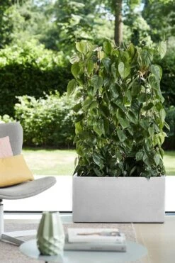 Elho Vivo Structure Finish Lang 90 - Plantenbak Voor Binnen & Buiten - Ø 88 X H 41 - Wit -Tuin- En Buitengereedschapswinkels 800x1200 138