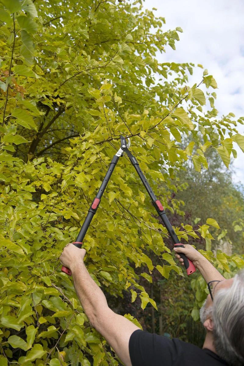 Kreator KRTGR4003 Telescopische Takkenschaar – Jong Hout - Knipdiameter: Ø34 Mm 4 Kreator KRTGR4003 Telescopische Takkenschaar – Jong Hout - Knipdiameter: Ø34 Mm - Afbeelding 4