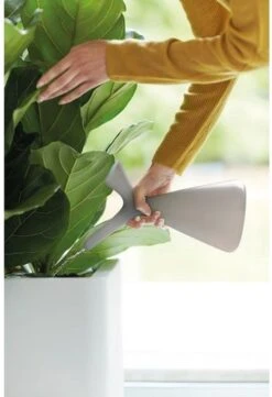 Elho Plunge Gieter 20 - Gieter Voor Binnenaccessoires - Ø 15.0 X H 29.5 Cm - Grijs/Warm Grijs 8 Elho Plunge Gieter 20 - Gieter Voor Binnenaccessoires - Ø 15.0 X H 29.5 Cm - Grijs/Warm Grijs -Tuin- En Buitengereedschapswinkels 820x1200 2