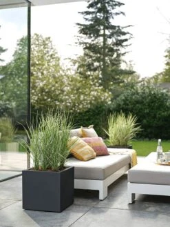 Elho Vivo Next Vierkant 30 - Plantenbak Voor Binnen & Buiten - Ø 29.5 X H 29.5 Cm - Zwart/Living Black -Tuin- En Buitengereedschapswinkels 900x1200 26