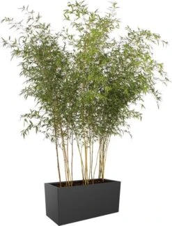 Elho Vivo Matt Finish Lang Wielen 90 - Grote Staande Plantenbak Voor Binnen & Buiten - Gemaakt Van Gereycled Plastic - L 39 X W 88 X H 41 Cm - Zwart -Tuin- En Buitengereedschapswinkels 911x1200 1