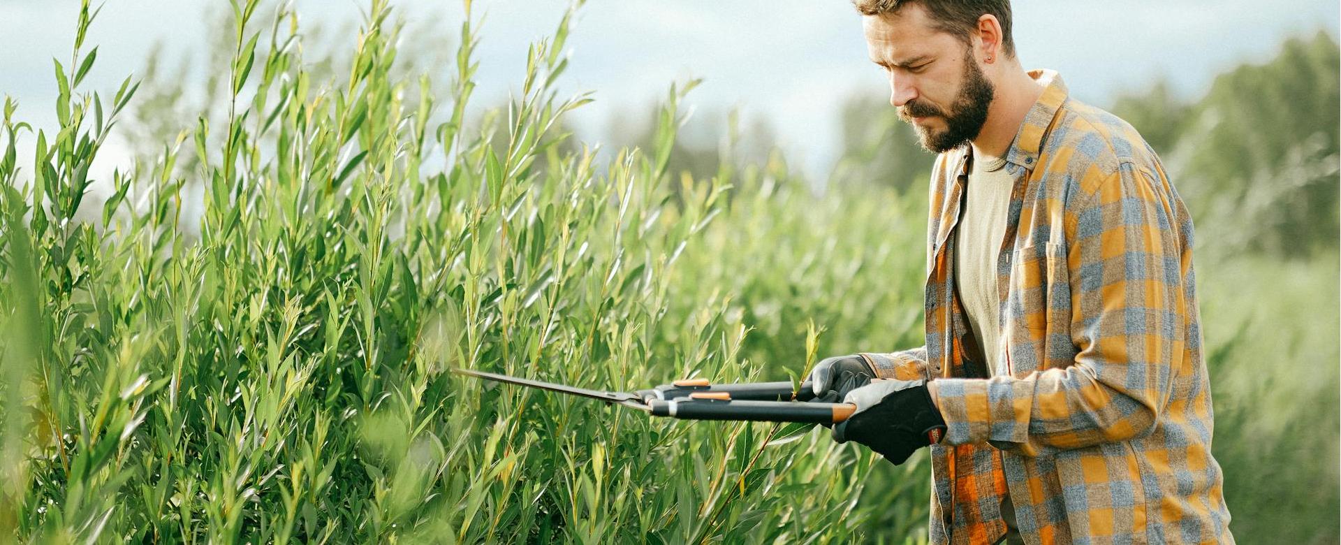 Tuin- En Buitengereedschapswinkels -Tuin- En Buitengereedschapswinkels pexels shvetsa 5027601